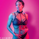 Calexotics - euphoria imbracatura colletto multi catena