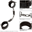 Calexotics - euphoria polsini alla caviglia-6