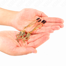 Kink - pinze per capezzoli pendenti cobra 6 cm