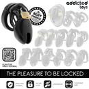 Addicted toys locked - gabbia per pene forbidden vault 10 cm