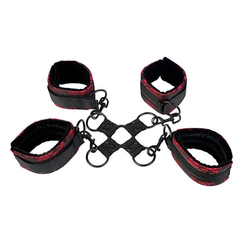 Calexotics - scandal manette legatura maiale