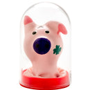 Condomerie - preservativi novità dipinti a mano testa di maiale