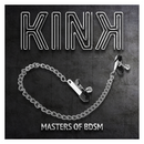 Kink - morsetti per capezzoli a catena piatta argento 34 cm