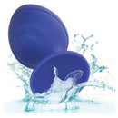 Calex cheeky buttplug - viola-6