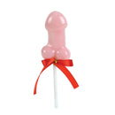 Spencer & fleetwood succulent willie lollipop-0