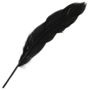 Coppia ohmama set numero 3-3