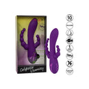 Calex long beach viola botylicious-4
