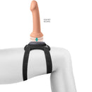 Pipedream - imbracatura body dock con cinghia lavabile-2