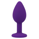 Intense shelki s plug anal viola-2