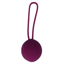 Kit kegel coverme viola-5