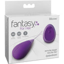 Fantasia per il suo remoto kegel excite-her-5