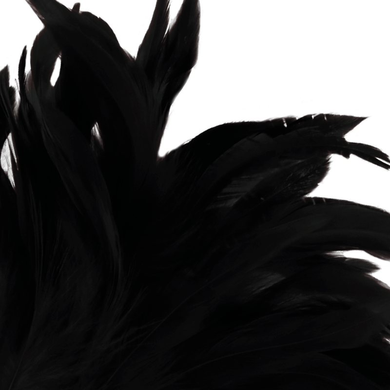 Darkness black feather lux-3