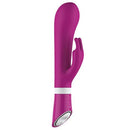 B swish bwild deluxe bunny rabbit vibrator raspberry-0
