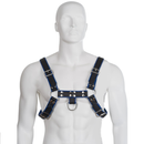 Imbracatura bulldog petto corpo in pelle pelle nera / blu-0