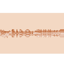 Ragazze fleshlight emily willis squirt vagina-1