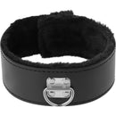 Darkness collar with leash titanium-2