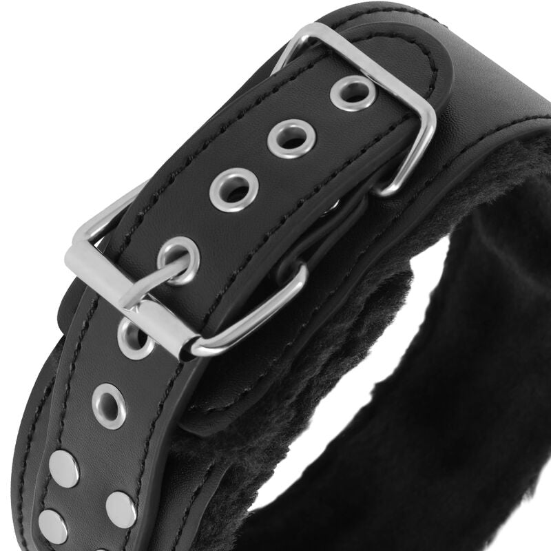 Darkness collar with leash titanium-4