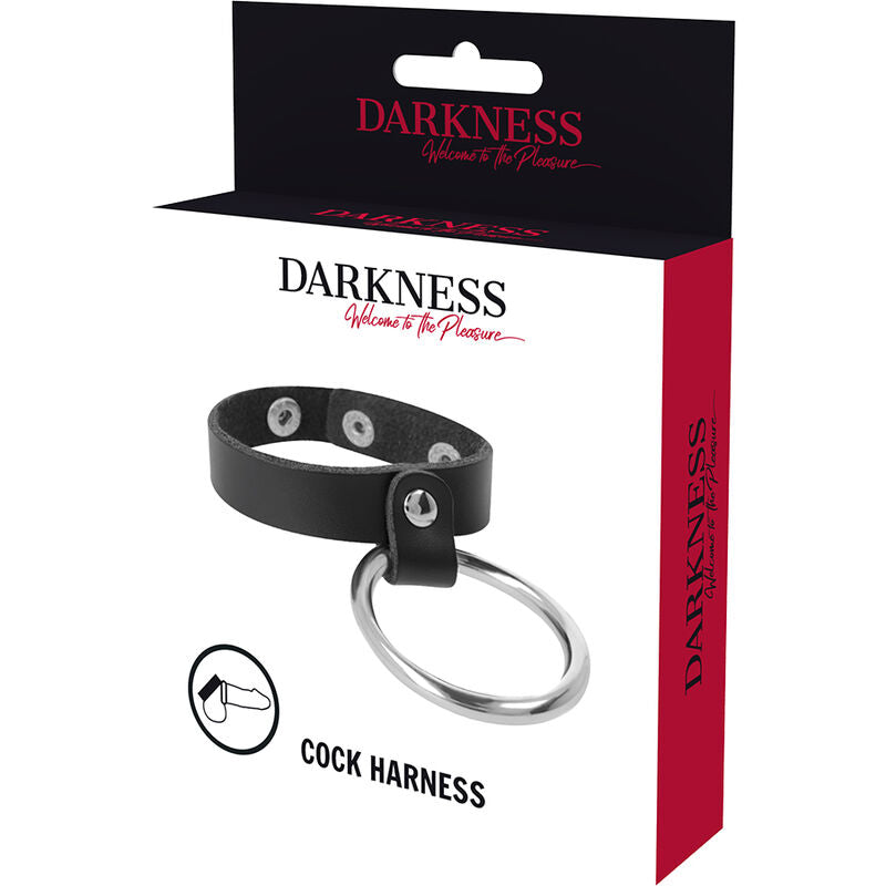 Darkness metal ring for the penis and testicles-4
