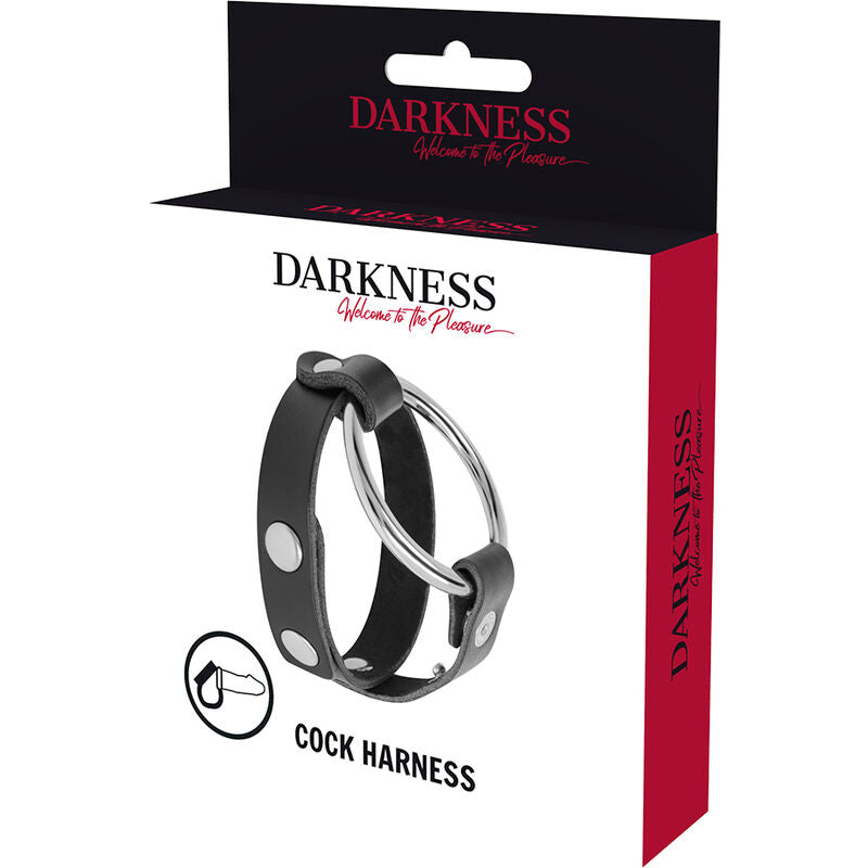 Darkness penis ring and bdsm tests-4