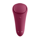 Satisfyer sexy secret panty-2