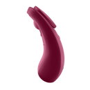 Satisfyer sexy secret panty-5