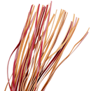 Fetish submissive dark room  látigo cuero vegano-2