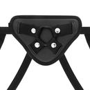 Xray arnés compatible con anillas silicona-4