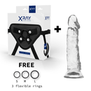 Xray arnés + dildo transparente 19cm x 4cm-1